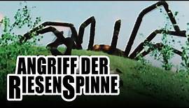 ANGRIFF DER RIESENSPINNE (1975) – Der merkwürdigste Spinnen-Horrorfilm, den ich je gesehen habe...
