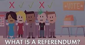 What is a Referendum? | Simple Civics