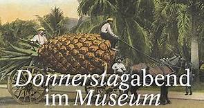 Pineapplemania - Bildvortrag von Historikerin und Kuratorin Marie-Louise von Plessen
