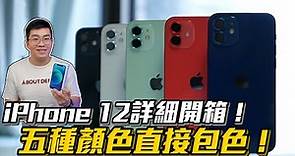 【Joeman】iPhone 12詳細開箱！五種顏色直接包色！
