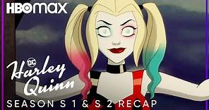 Season 1 & Season 2 Recap | Harley Quinn | HBO Max