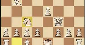 BEST CHECKMATE EVER.A F Ludvigsen vs. Soren Anton Sorensen 1872 #chesss