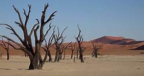 The Surreal Landscapes of Deadvlei, Namibia