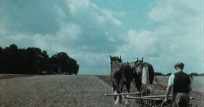 English Harvest (1938)