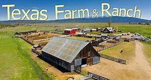 How Texas Farmers Are Running 247000 Farms And Ranches - Farming Documentary