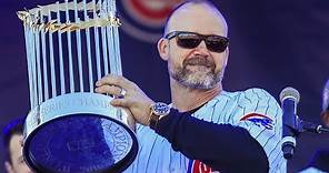 A TRIBUTE TO DAVID ROSS (ALL CAREER HIGHLIGHTS)