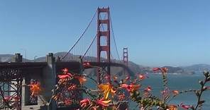 San Francisco City Tour - California - U.S.A.