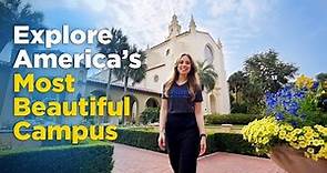 Rollins College: Much More Than A Beautiful Campus