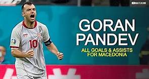Goran Pandev 🐐 ➡️ All Goals & Assists For Macedonia 🇲🇰