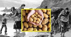 History of Potatoes in the European Diet