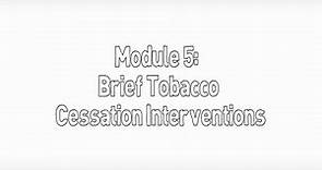 Brief Tobacco Cessation Interventions