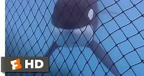 Free Willy (1993) - Almost Free Scene (9/10) | Movieclips