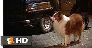 Lassie (1/9) Movie CLIP - Can We Keep Her? (1994) HD