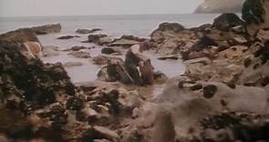 Malachi's Cove (1974)