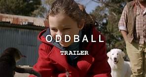 ODDBALL Trailer YouTube