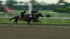 Belmont Park will resume live racing after air quality improves ahead of Belmont Stakes