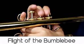 "Flight of the Bumblebee" (Classical Series n.7) - Andrea Giuffredi trumpet