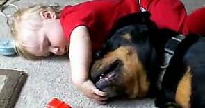 Rottweiler brinca com o bebê
