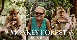 Monkey Forest Sanctuary in Ubud, Bali