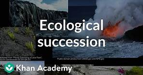 Ecological succession | Ecology | Khan Academy
