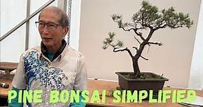 Pine Bonsai Simplified