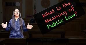 What is Meaning of Public Law?