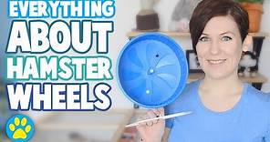 Hamster Wheels 101 | Everything You Need To Know