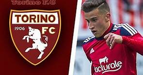Alejandro Berenguer ► WELCOME TO TORINO FC