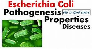 E coli bacteria microbiology | pathogenesis, Symptoms and disease