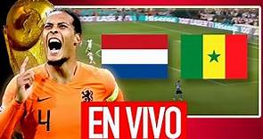 🔴 Holanda (Países Bajos) vs Senegal EN VIVO Jornada 1 Grupo A Mundial Qatar 2022