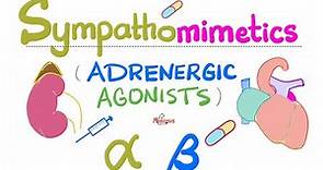 Sympathomimetics (Adrenergic Agonists)—Epinephrine, Norepinephrine - Alpha & Beta Receptors