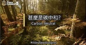 甚麼是碳中和？