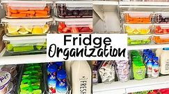 Fridge Organization 🌟 Refrigerator Clean and Organize with me