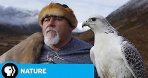 Wild Way of the Vikings Preview | NATURE | PBS