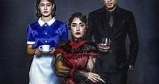 The Maid (2020) Online - Película Completa en Español / Castellano - FULLTV