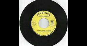 WEBSTERS NEW WORLD - You Still Thrill Me, Babe (1967)