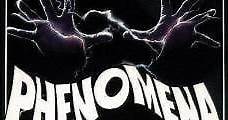 Phenomena (1985) Online - Película Completa en Español / Castellano - FULLTV
