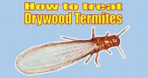 How to Treat a Drywood Termite Infestation Yourself. A MUST see if you have Drywood termites.