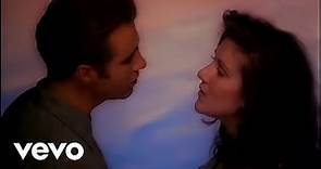 Céline Dion & Clive Griffin - When I Fall In Love (From "Sleepless In Seatle") Official Music Video