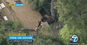 Large tree branch falls on home in La Cañada Flintridge, slices portion of roof