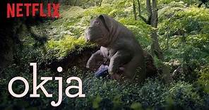 Okja | Official Trailer [HD] | Netflix