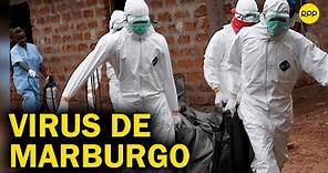 ¿Qué es el virus de Marburgo? Casi tan letal como el ébola