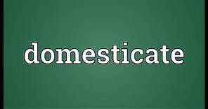 Domesticate Meaning