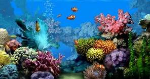 Living Marine Aquarium 2 Screensaver