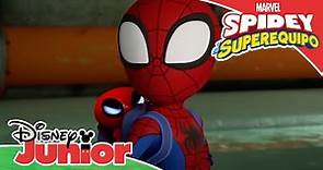 Marvel Spidey y su superequipo: Como auténticos superhéroes | Disney Junior Oficial