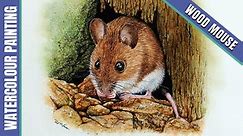 Wood Mouse in Watercolour with Paul Hopkinson