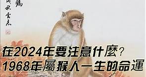 1968年生肖猴在2024年要注意什麼？1968年屬猴人一生的命運！｜🐒猴生肖運勢｜CC字幕