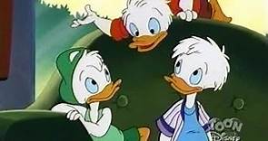 Quack Pack S01 E36 Hero Today, Don Tomorrow