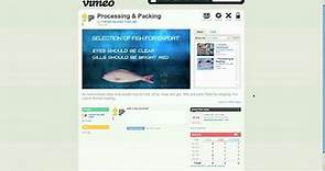How To Watch Vimeo Videos