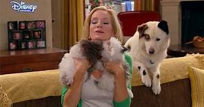 Dog With A Blog - Cute Puppies! - Official Disney Channel UK HD